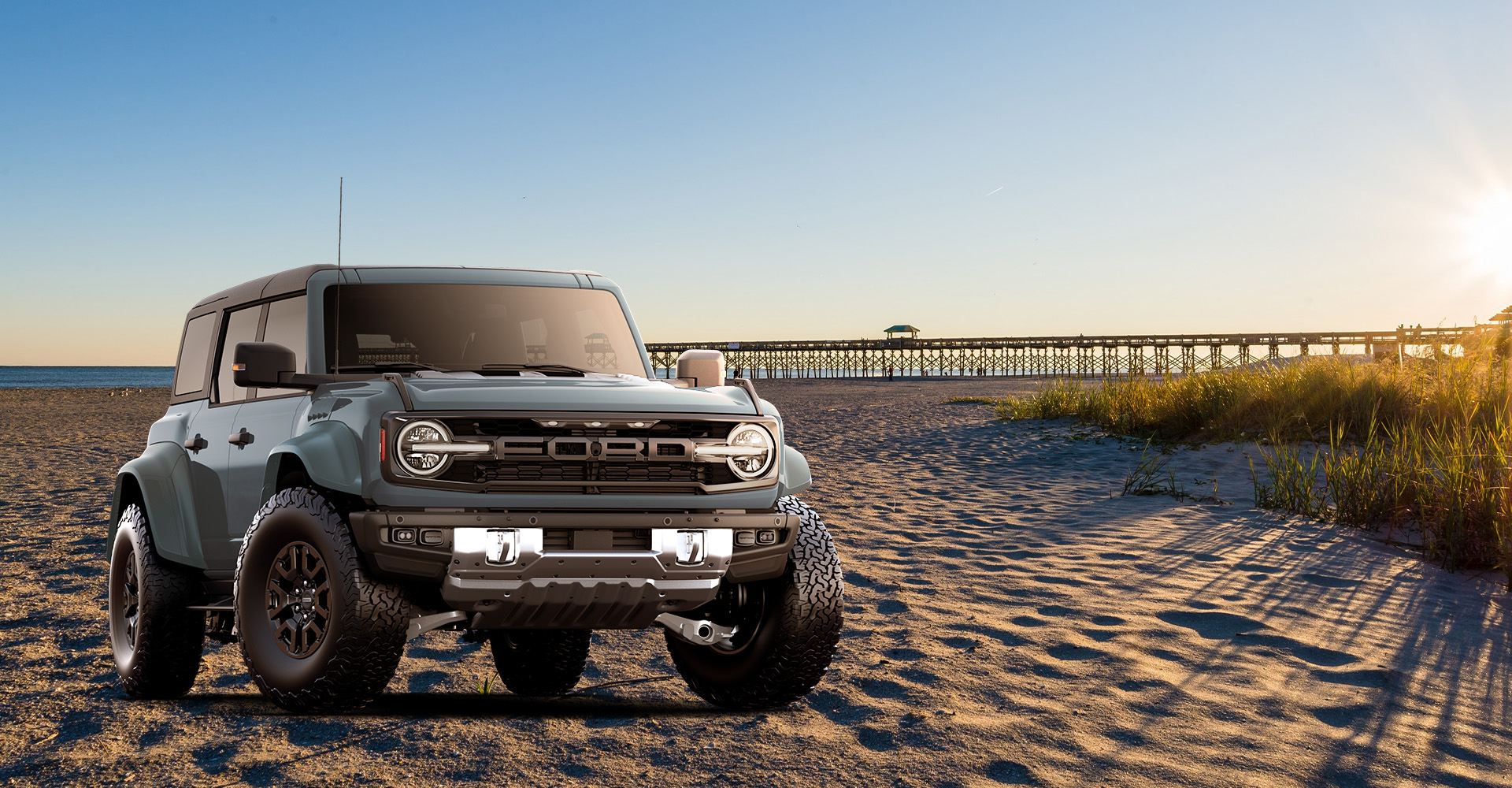 dog friendly beaches charleston sc