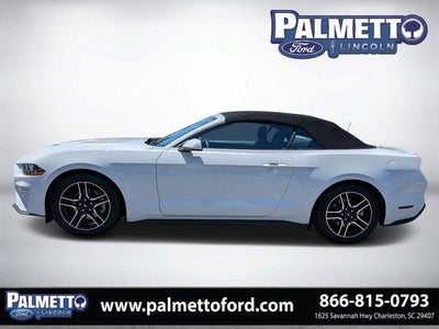 2019 Ford Mustang EcoBoost