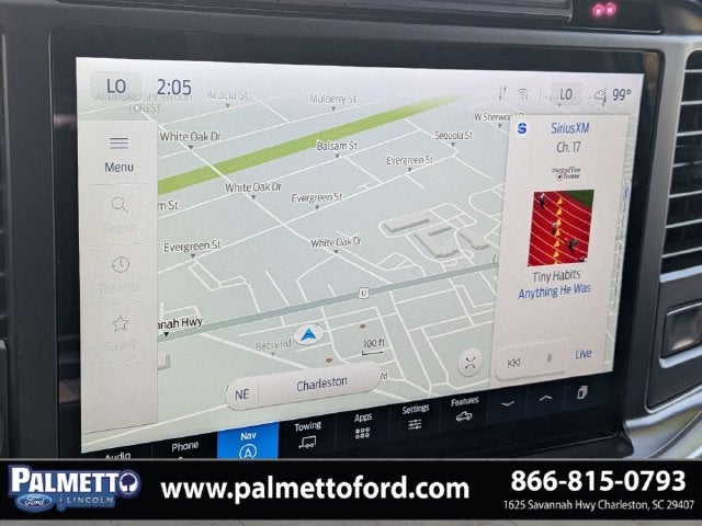 2025 Ford F-150 Platinum