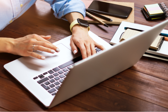 Palmetto Ford in Charleston SC