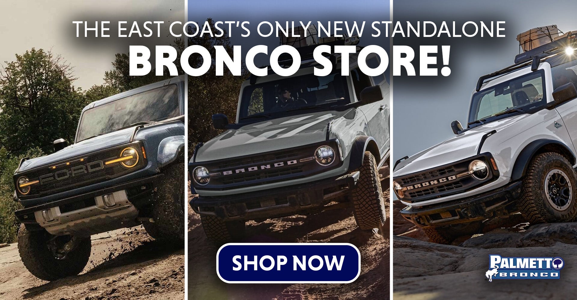 Ford Bronco for Sale Charleston SC Ford Bronco for Sale Charleston SC