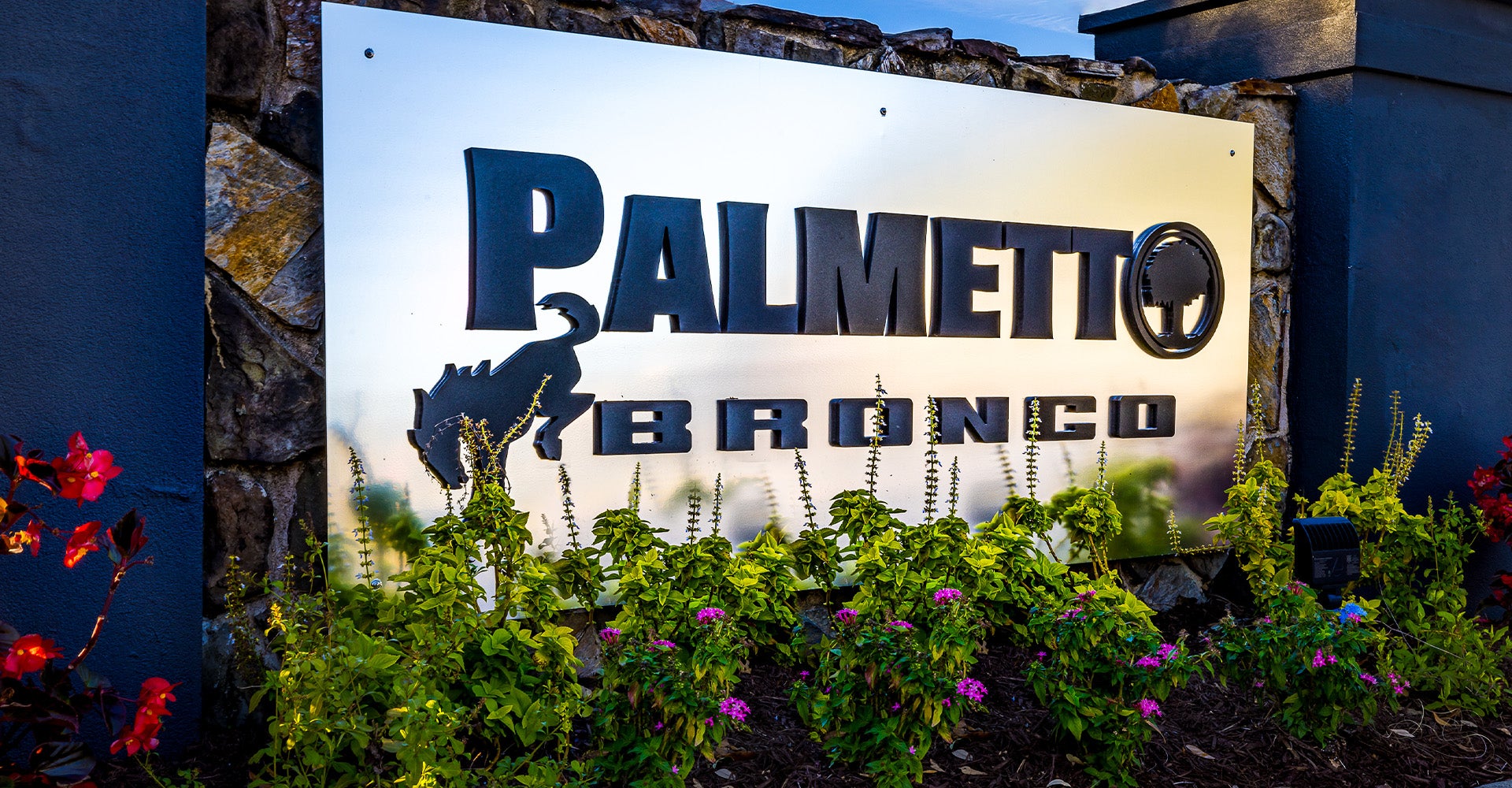 Palmetto Bronco 7