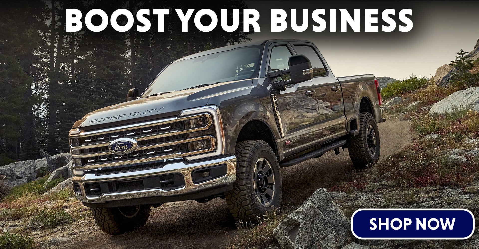 Ford commercial vehicles