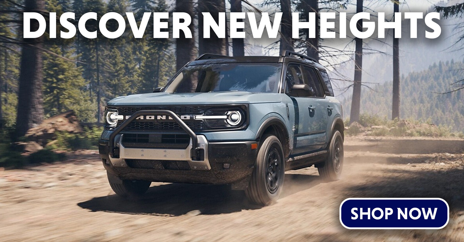 Ford Truck Buying Guide