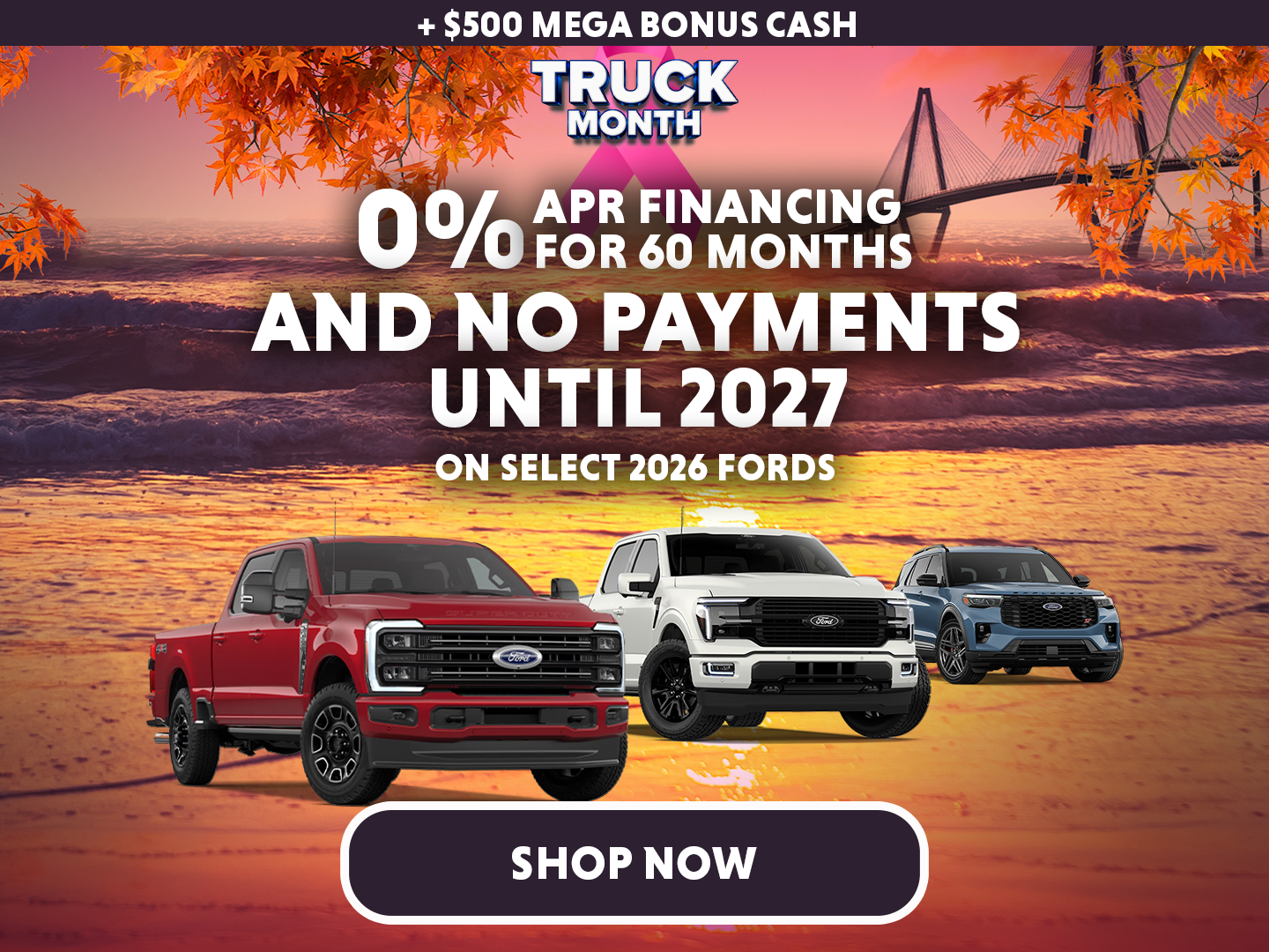 Select New Fords