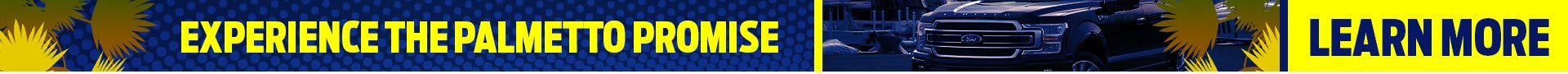 The Palmetto Promise