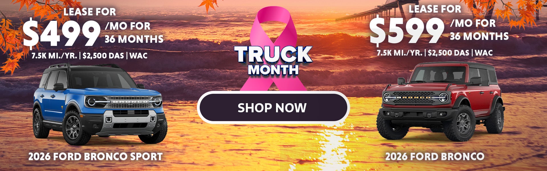 SHOP NOW