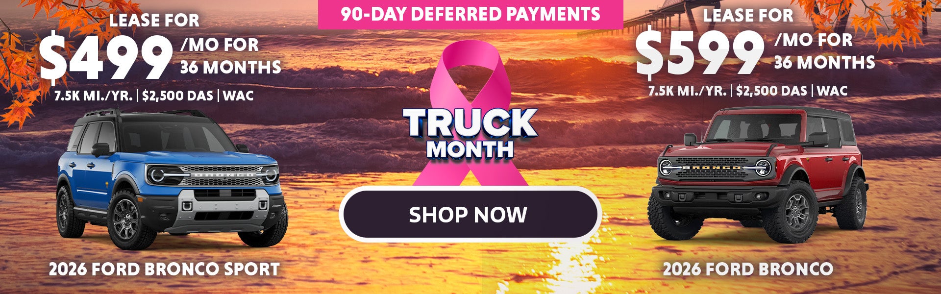 SHOP NOW