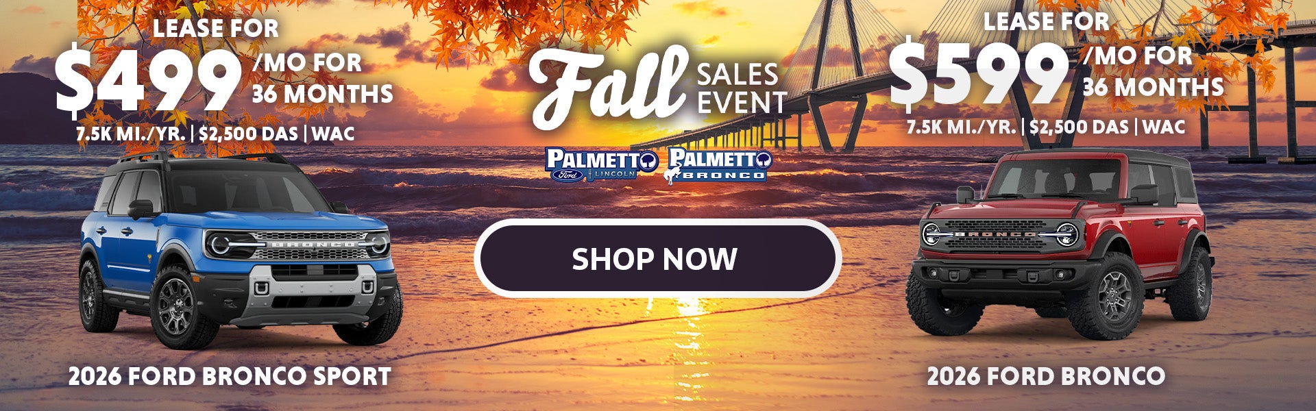 SHOP NOW